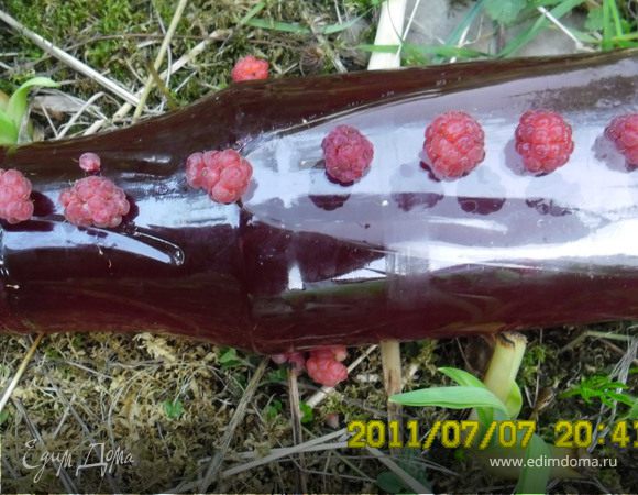 Малиновый сироп