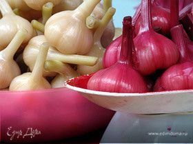 Фото рецепта