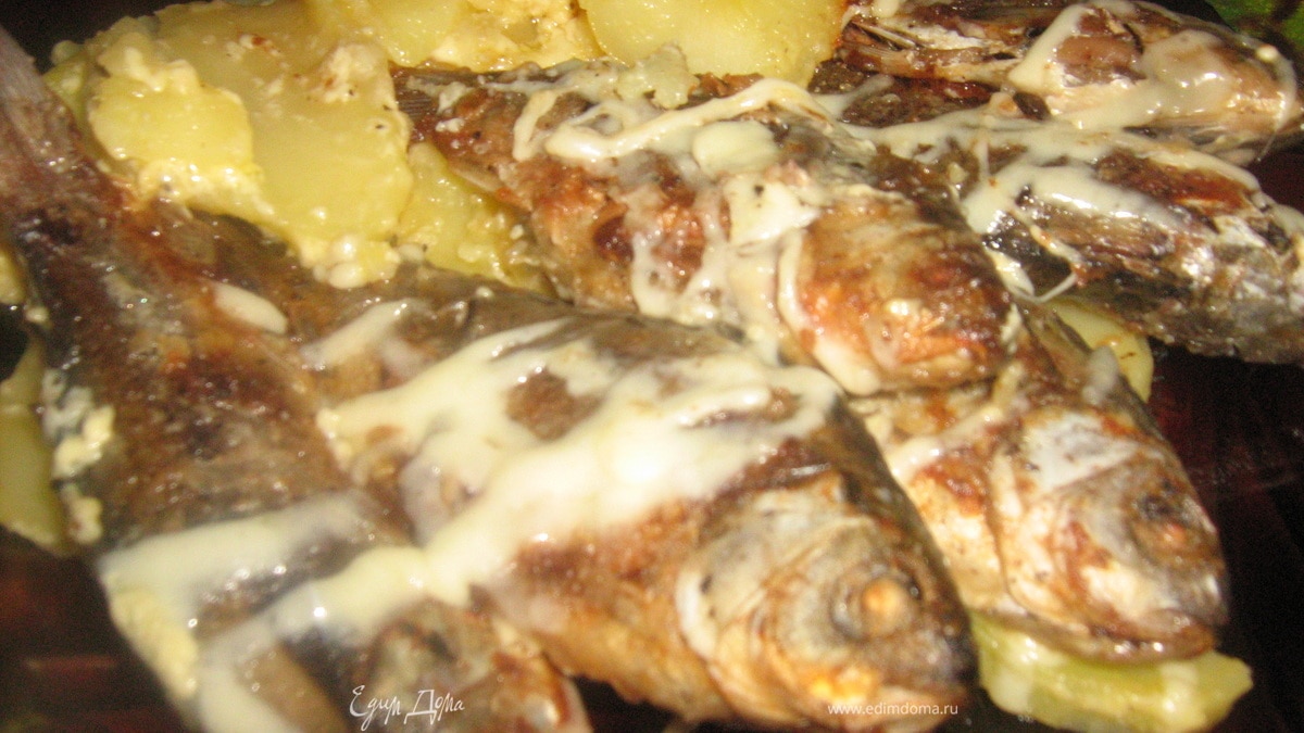 Вершкові карасі (Сливочные караси)