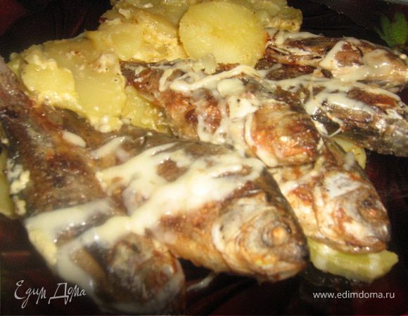 Вершкові карасі (Сливочные караси)