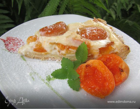 Тарт абрикосовый " Кисленький" Тарт абрикосовый " Кисленький"