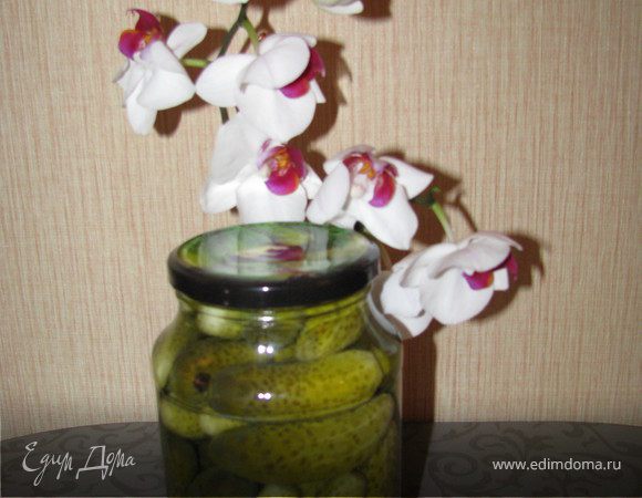 Огурчики маринованные по-венгерски
