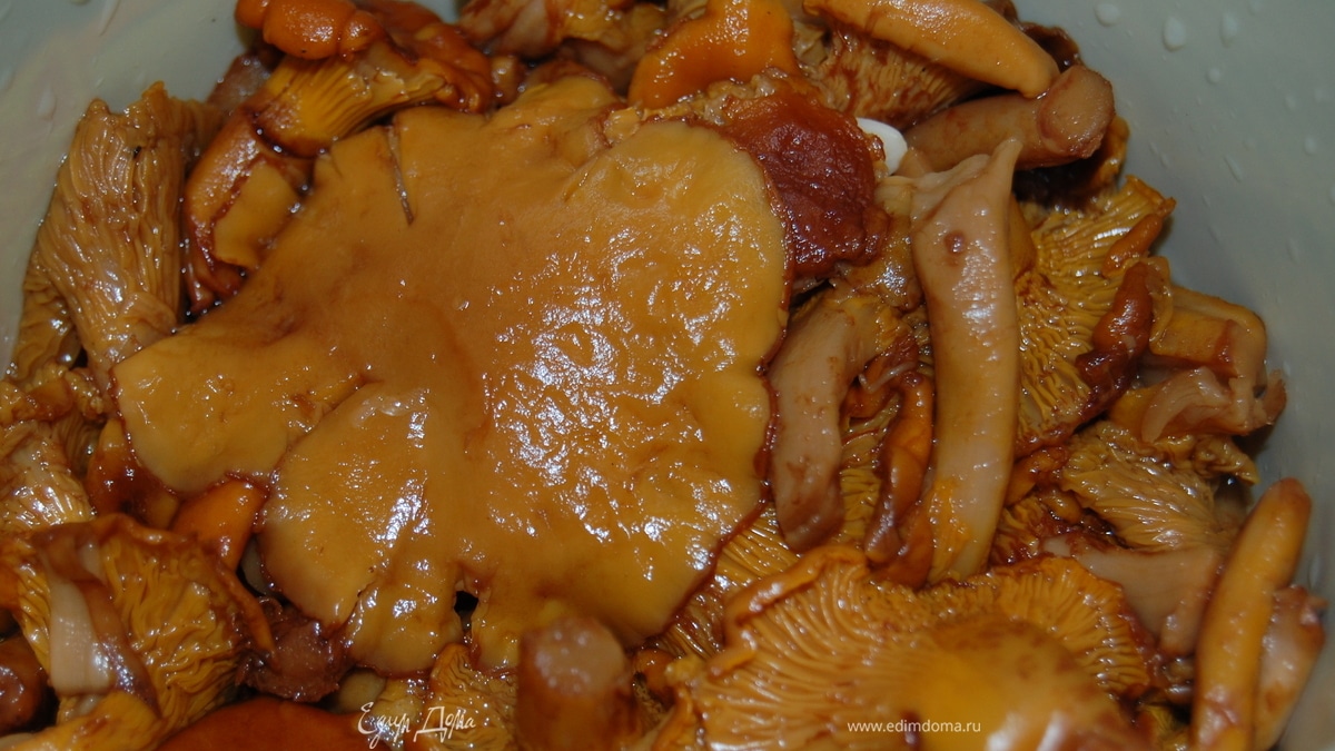 Лисички на зиму