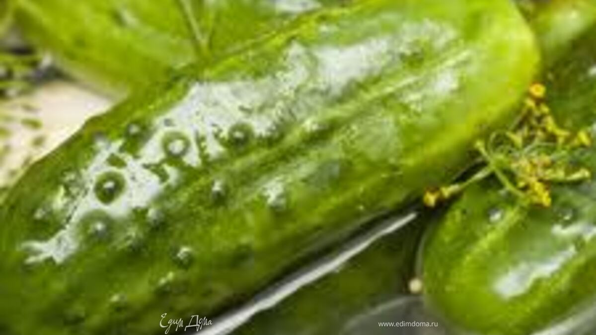 Огурчики соленые с горчицей