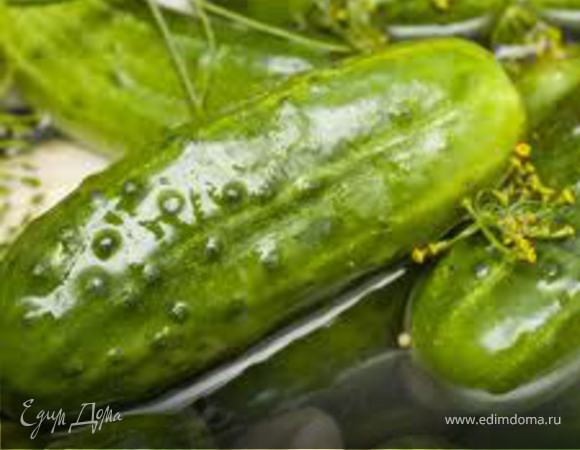 Огурчики соленые с горчицей Огурчики соленые с горчицей