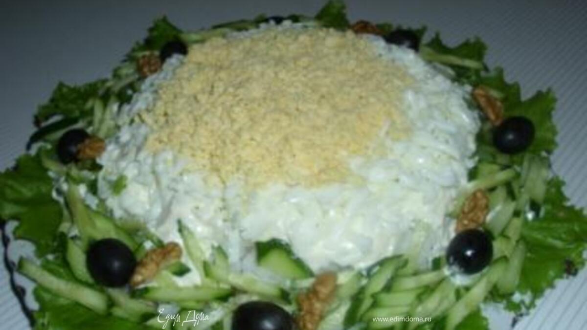 "Барракуда"