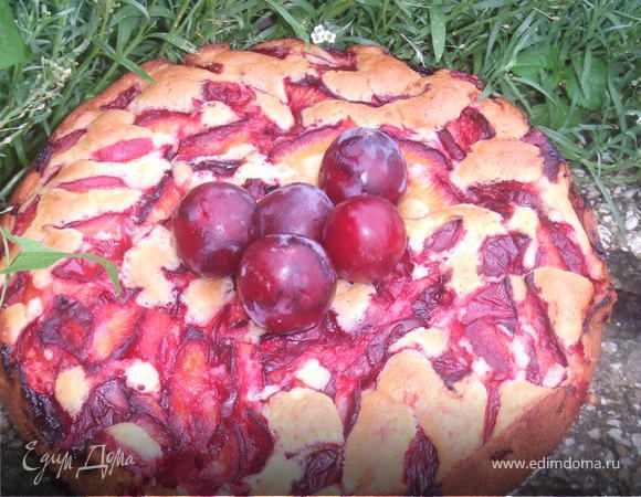 Пирог "Сливовое Наслаждение" Пирог "Сливовое Наслаждение"