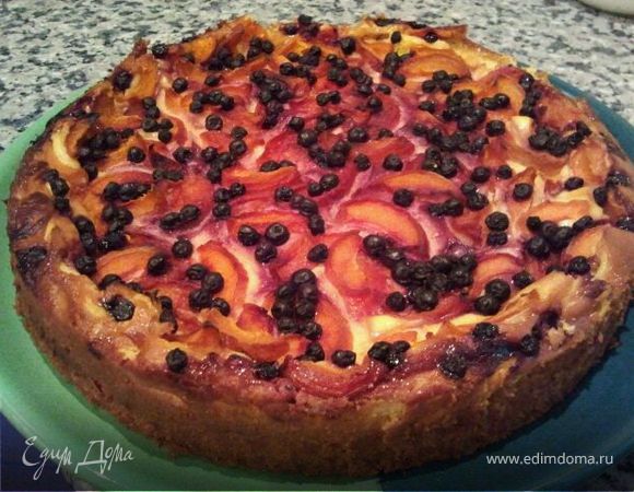 Чизкейк с абрикосами и черникой