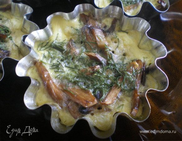 Грибы "Бристольские". Грибы "Бристольские".