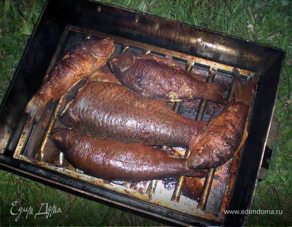 Тайны коптильни Тайны коптильни