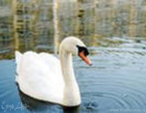 Салат "Белый лебедь"