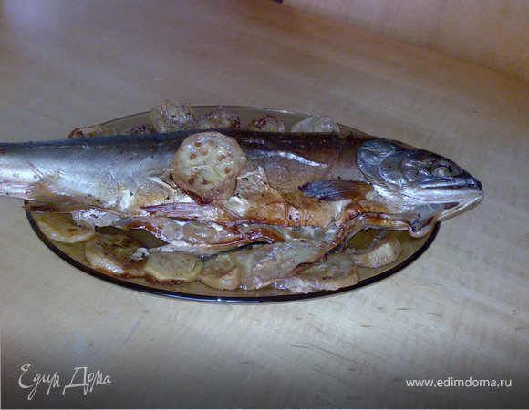 Горбуша запеченная в рукаве с луком и кабачком Горбуша запеченная в рукаве с луком и кабачком