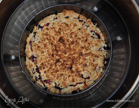 Пирог обыкновенный Пирог обыкновенный