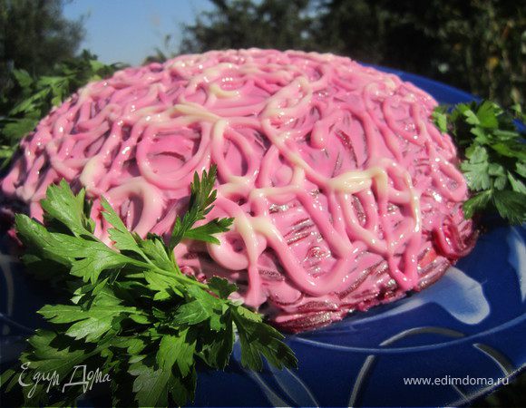 Селедка под шубой без яиц Селедка под шубой без яиц