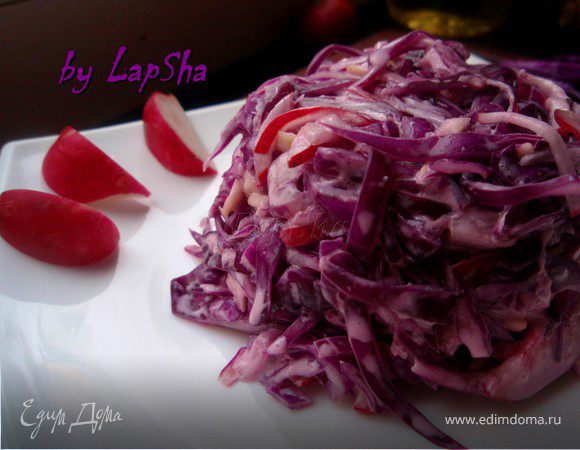 Красный коул-слоу (Диетический) Красный коул-слоу (Диетический)