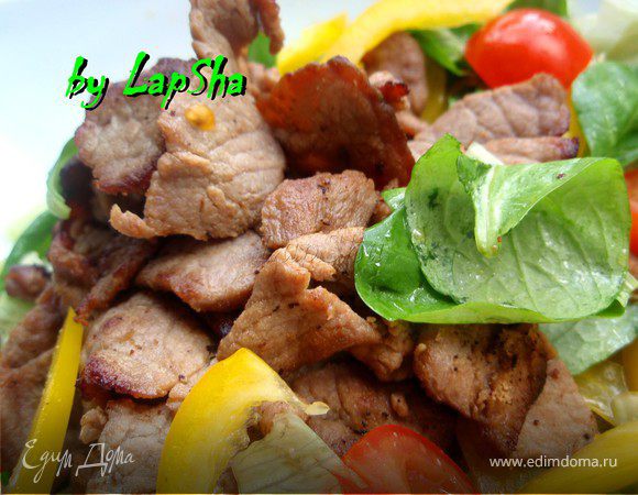 Теплый салат с говядиной в китайском стиле Теплый салат с говядиной в китайском стиле