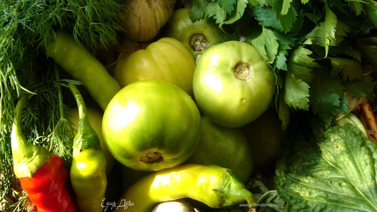 Зелёные помидоры, солёные по-грузински и пряный салат из остатков