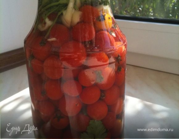 Малосольные помидорчики 3-х дневки