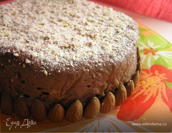 Шоколадный торт-тянучка с курагой и орехами Шоколадный торт-тянучка с курагой и орехами