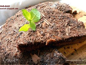 Фото рецепта