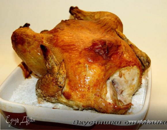 Курочка на соли