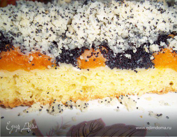 Пирог творожный с абрикосово-маковой начинкой Пирог творожный с абрикосово-маковой начинкой