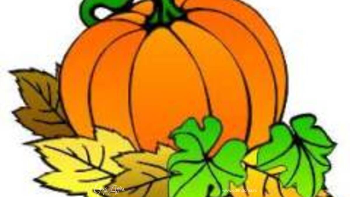 Солнышко и тыковка