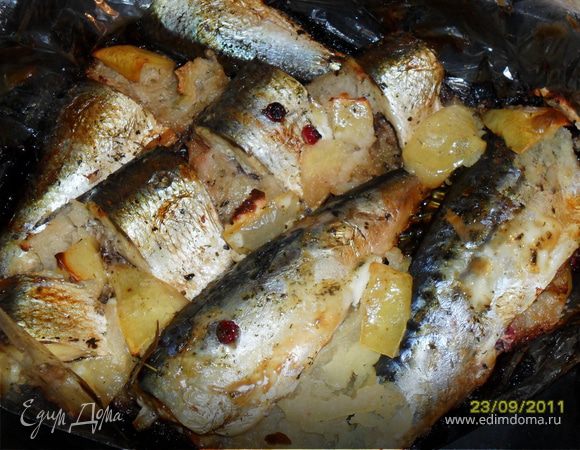 Скумбрия с яблоками Скумбрия с яблоками