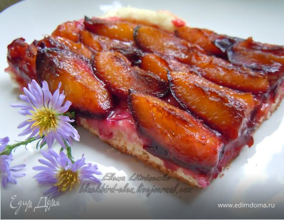 Сливовый пирог Сливовый пирог