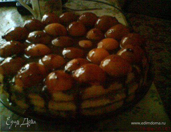 Бисквитный абрикосовый торт в шоколаде. 