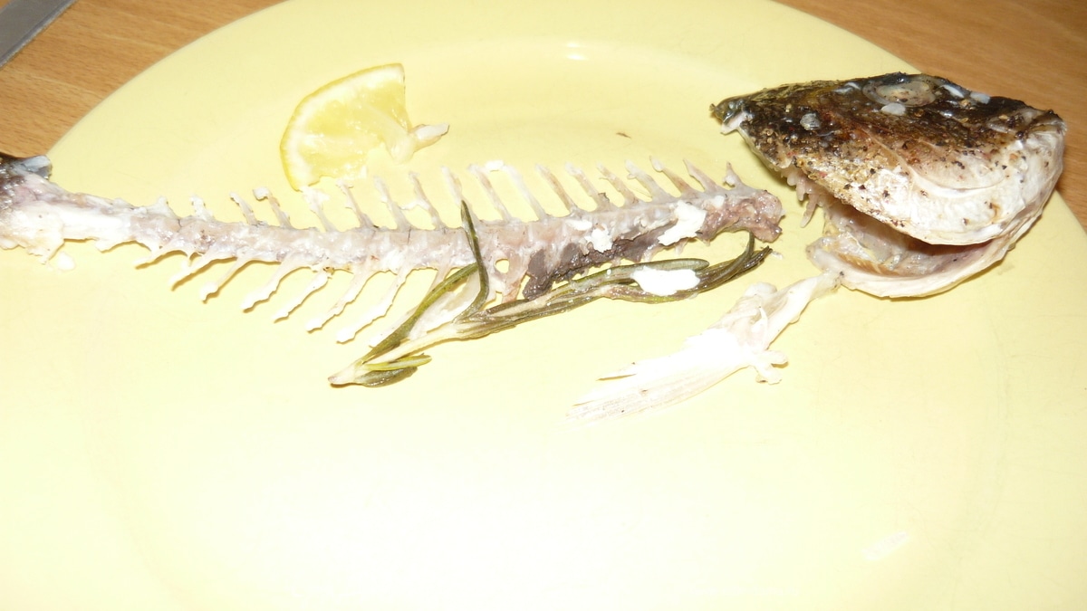 Дорадо очень по-средиземноморски