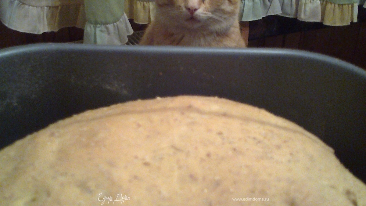 ТЫКВЕННЫЙ хлеб