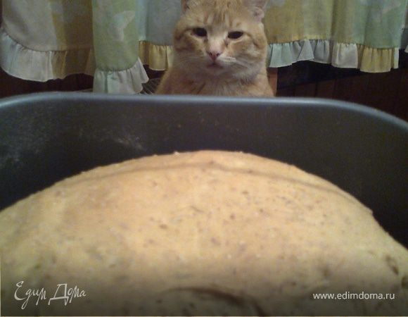 ТЫКВЕННЫЙ хлеб ТЫКВЕННЫЙ хлеб