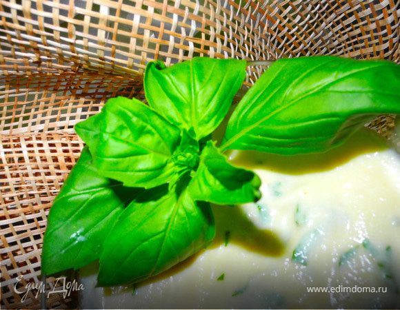Нежный десертный крем из яблок с базиликом и кардамоном Нежный десертный крем из яблок с базиликом и кардамоном