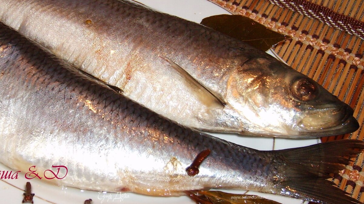 Сельдь домашнего посола (Актуально зимой!)