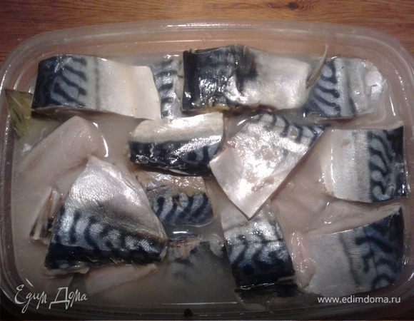 маринованная скумбрия маринованная скумбрия