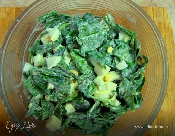 Салат из шпината с яйцом и сыром сулугуни Салат из шпината с яйцом и сыром сулугуни