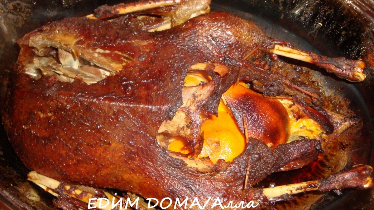 Гусь рождественский