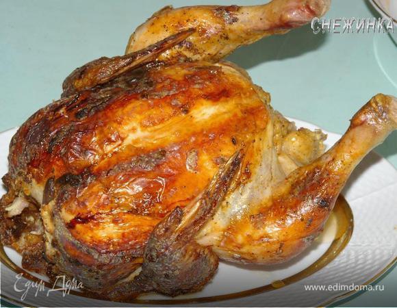 Курица, запеченная на бутылке Курица, запеченная на бутылке