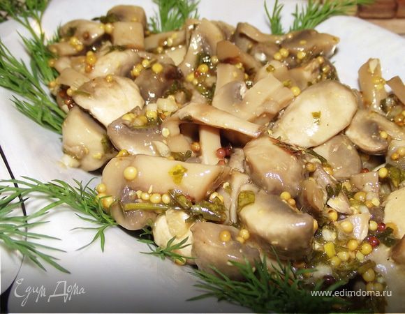 Шампиньоны в горчичном соусе Шампиньоны в горчичном соусе