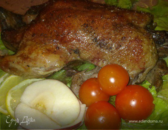 Пьяный утенок