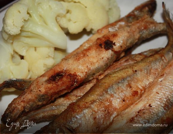 Корюшка. Корюшка.