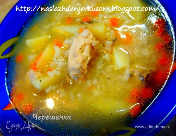 Суп из лосося Суп из лосося