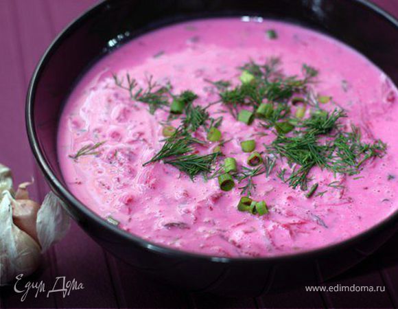 Свекольник Свекольник