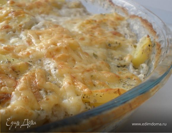 Быстрый Дофинуа от Джейми Быстрый Дофинуа от Джейми