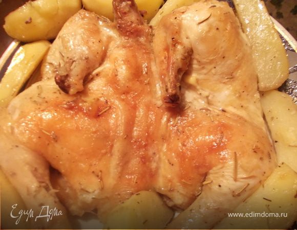 Классическая курочка с чесноком и розмарином Классическая курочка с чесноком и розмарином