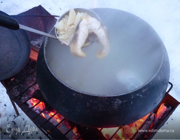 Царская Уха(дачный вариант) Царская Уха(дачный вариант)