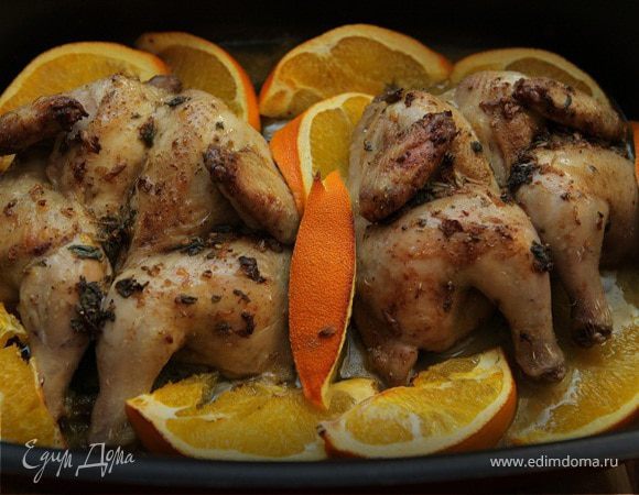 Цыплята, запеченные с апельсинами и орегано Цыплята, запеченные с апельсинами и орегано