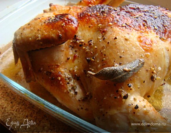 Курочка "Четыре перца"