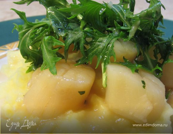 Морские гребешки в белом вине - умопомрачительный вкус!